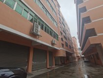 东莞东城温塘新区标准厂房三楼3000平厂房出租可办环评