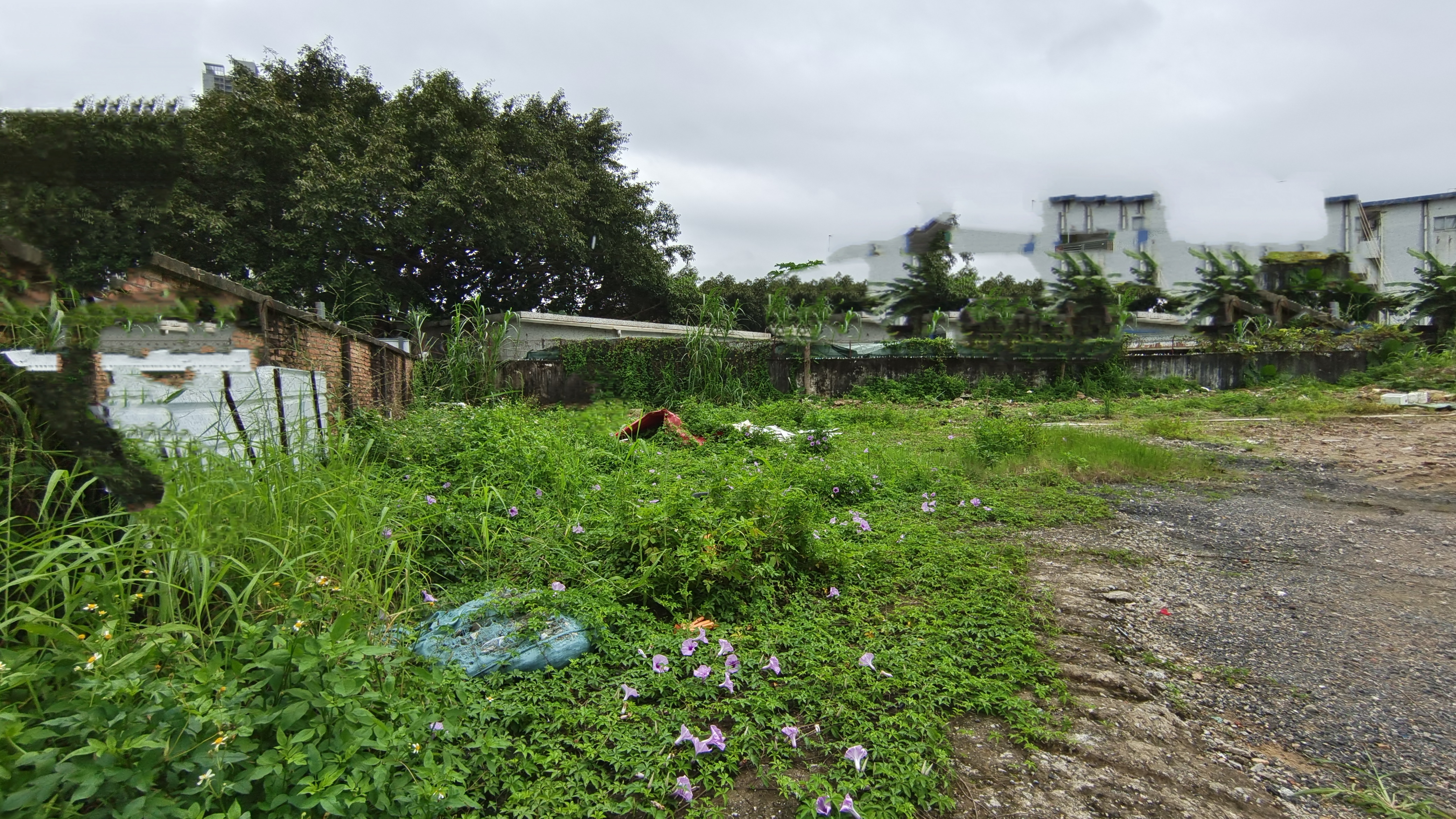 宝安大道沙井地铁口附近2000空地出租网红打卡首选场地1