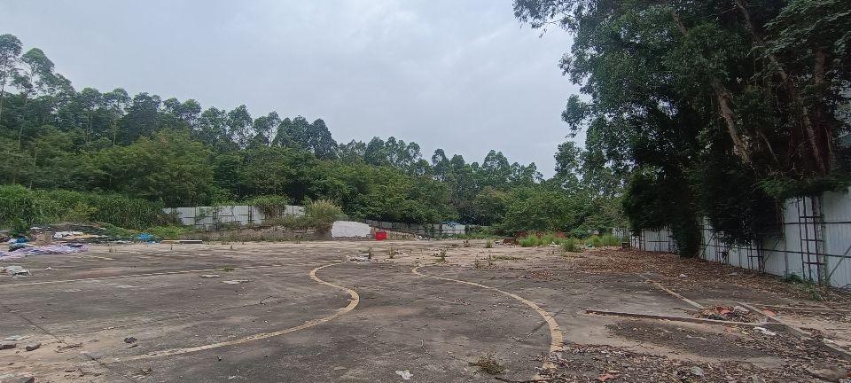 龙华区大浪南路宝山新村6500平硬化场地出租4