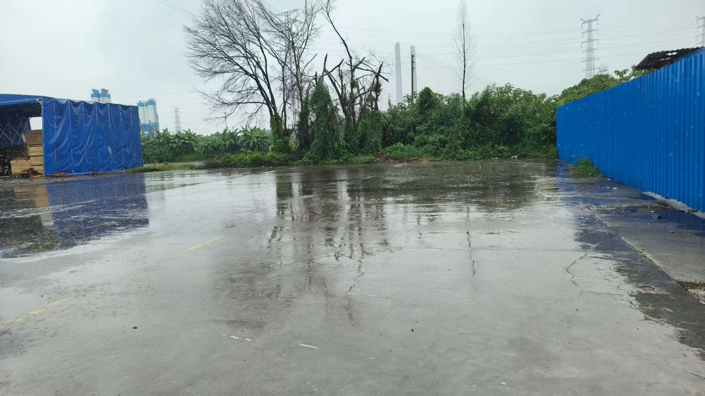 原房东空地水泥地面1