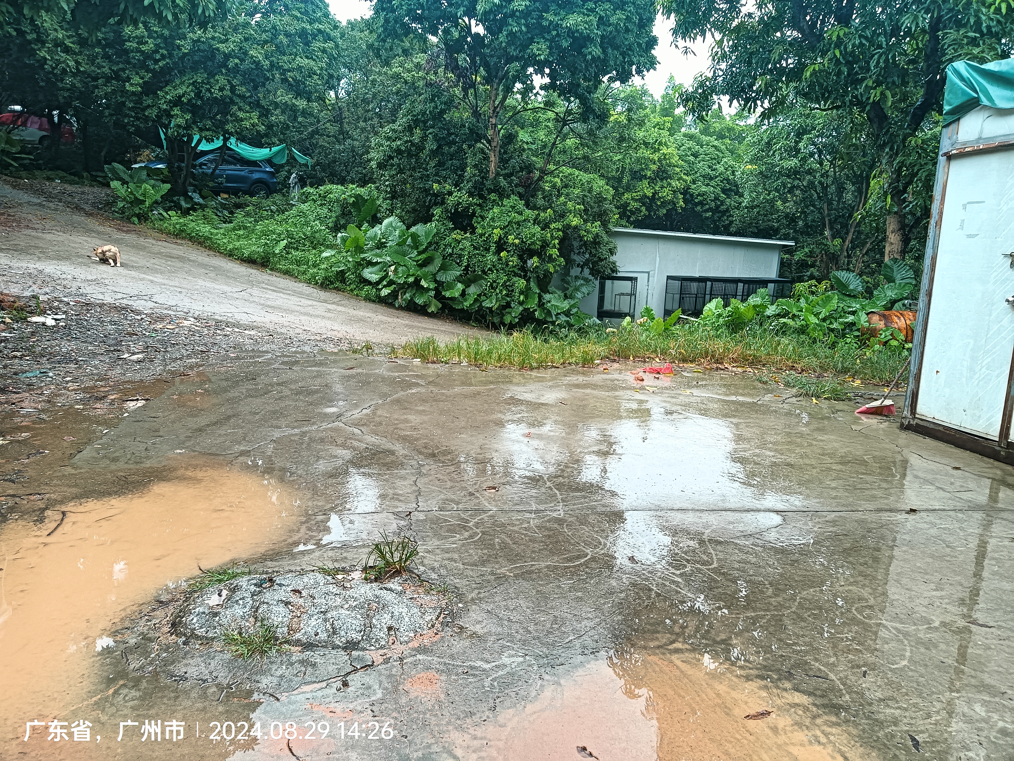 天河黄村1200平硬化工地。不限任何行业，价格便宜。5