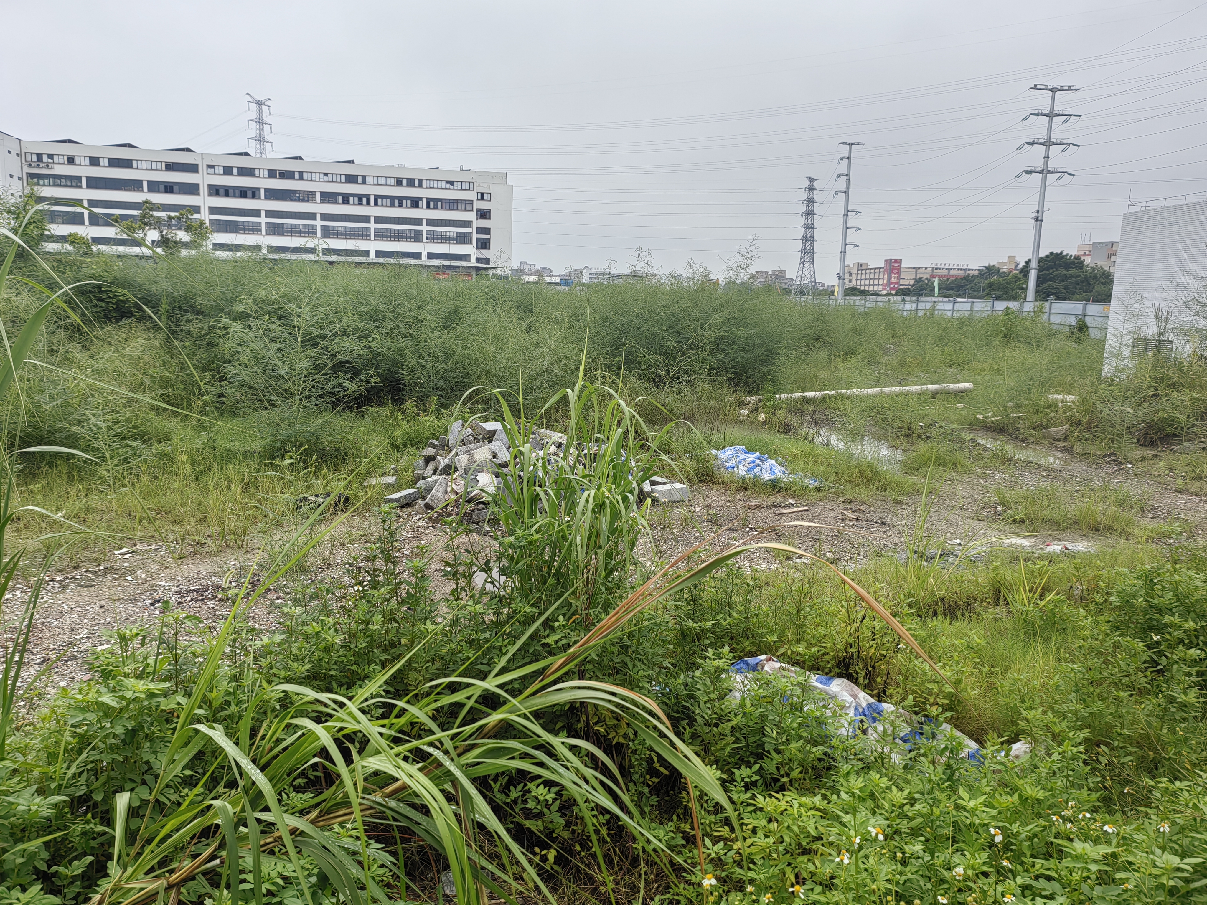 钟落潭良田26亩M1工业用地出售3