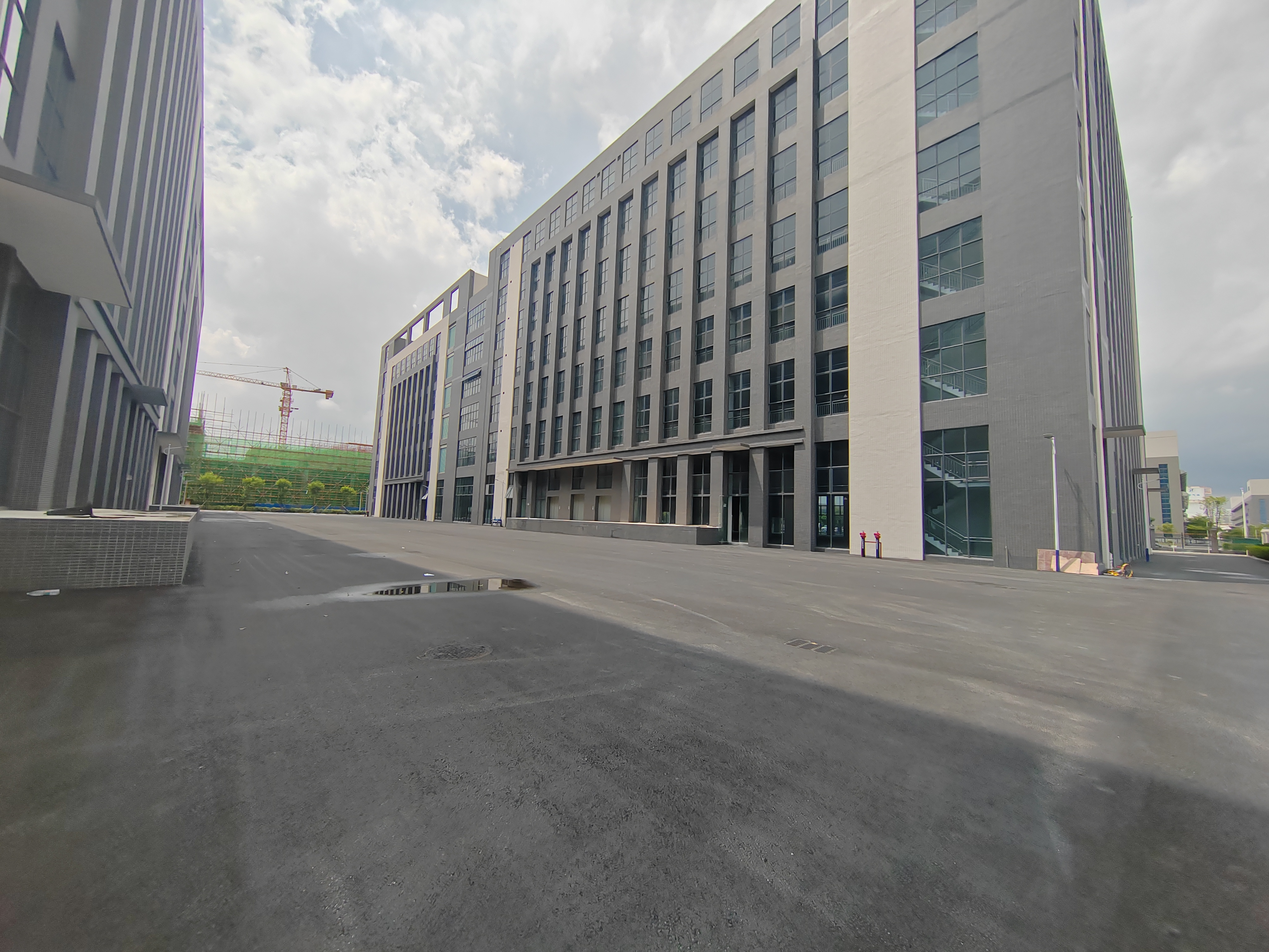 标准厂房独栋39000㎡，首层高度7米，交通方便，空地大