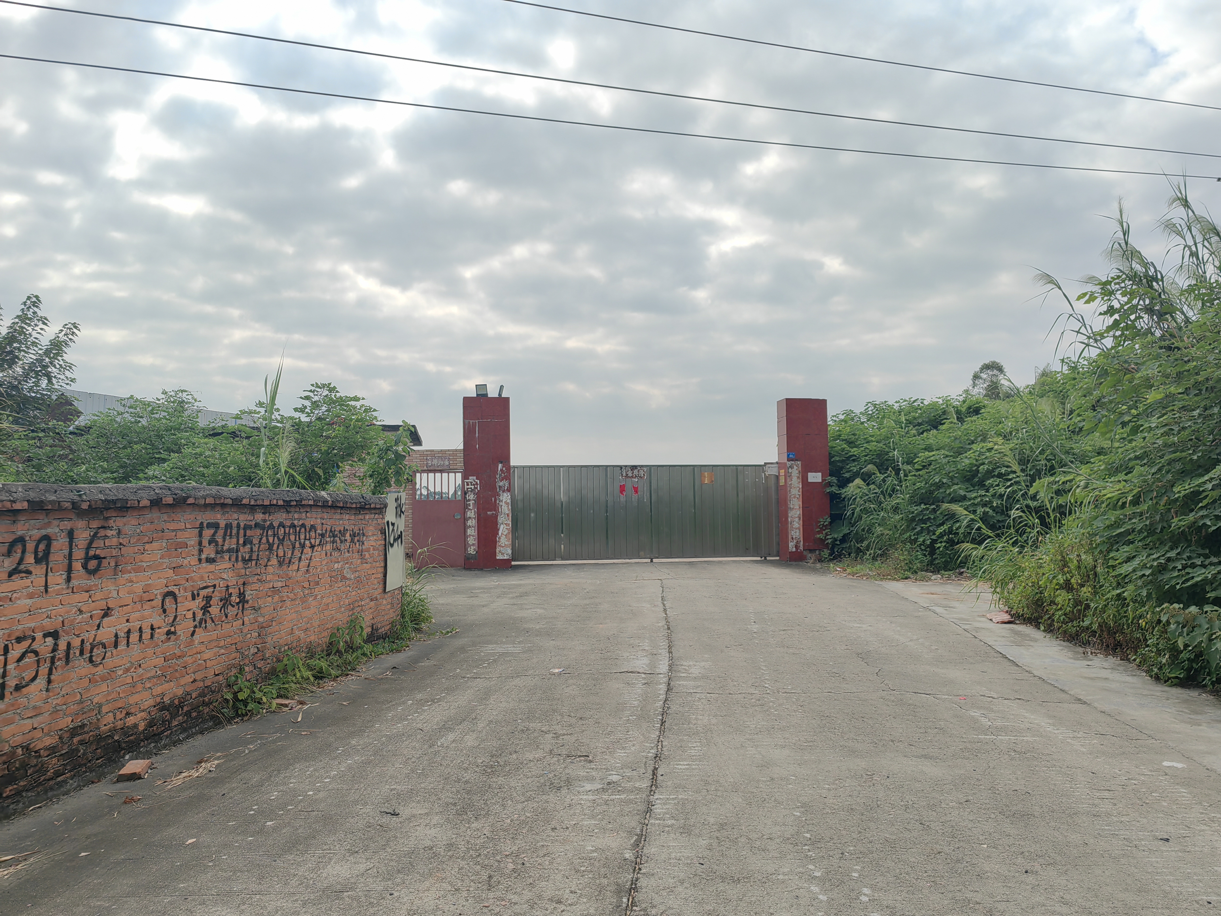 龙塘佛清从高速旁，一万方独院空地，格局方正，大路边，租金便宜1