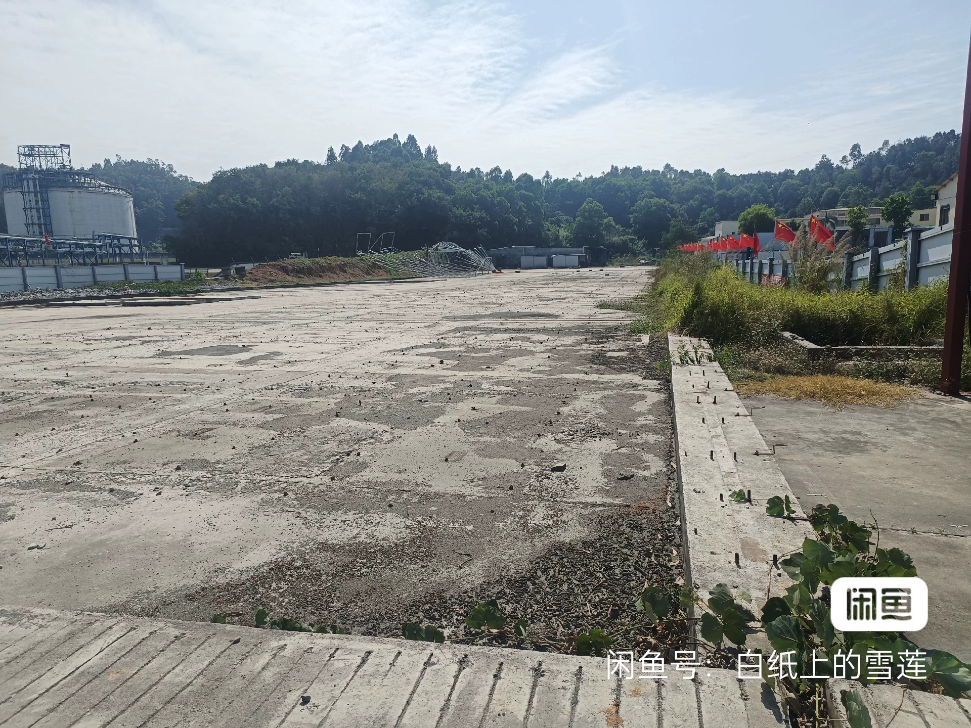 深圳原房东独门独院以硬化空地1200亩5