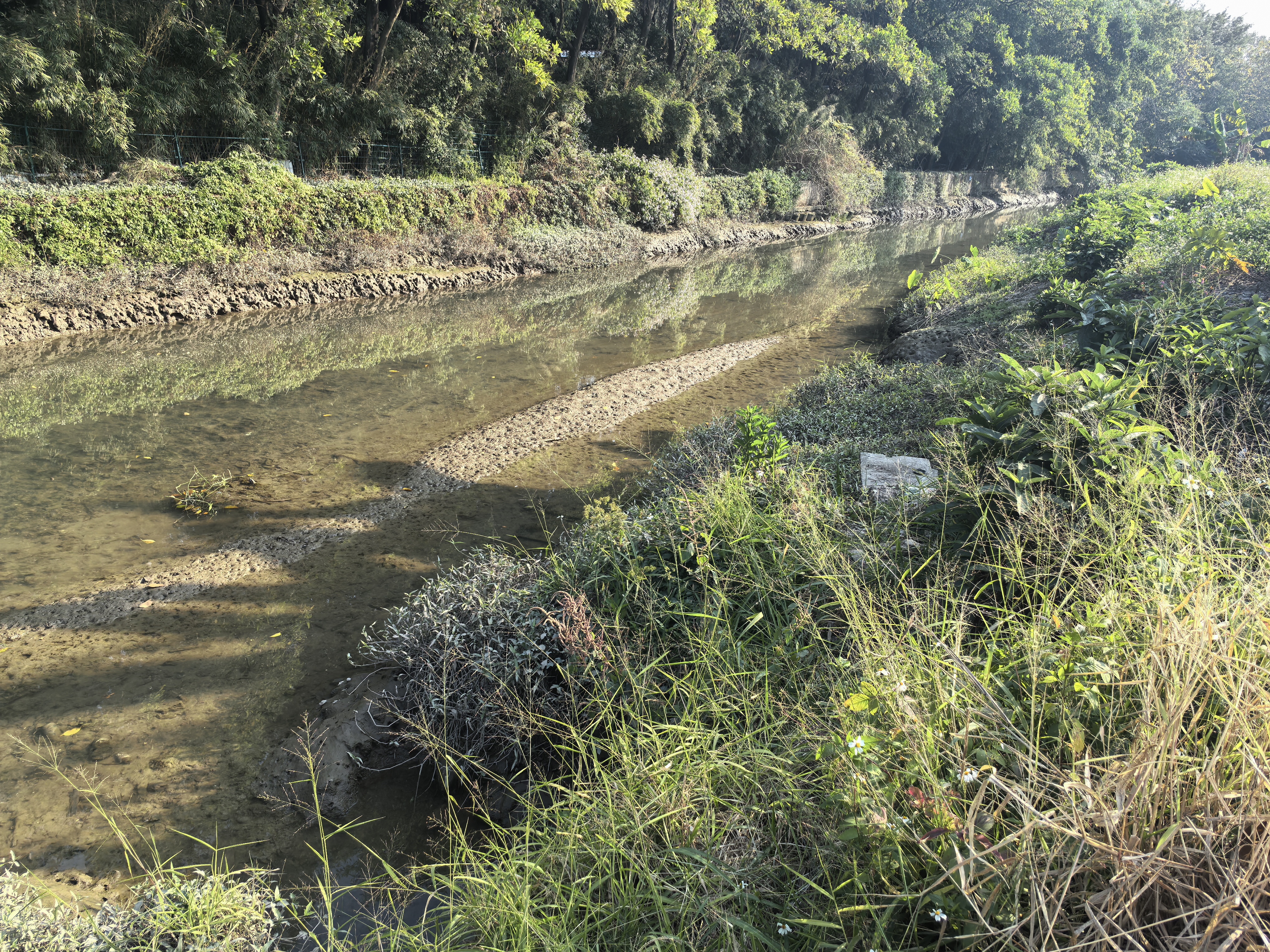 番禺区大龙街30亩农田出租（适合开心农场）3