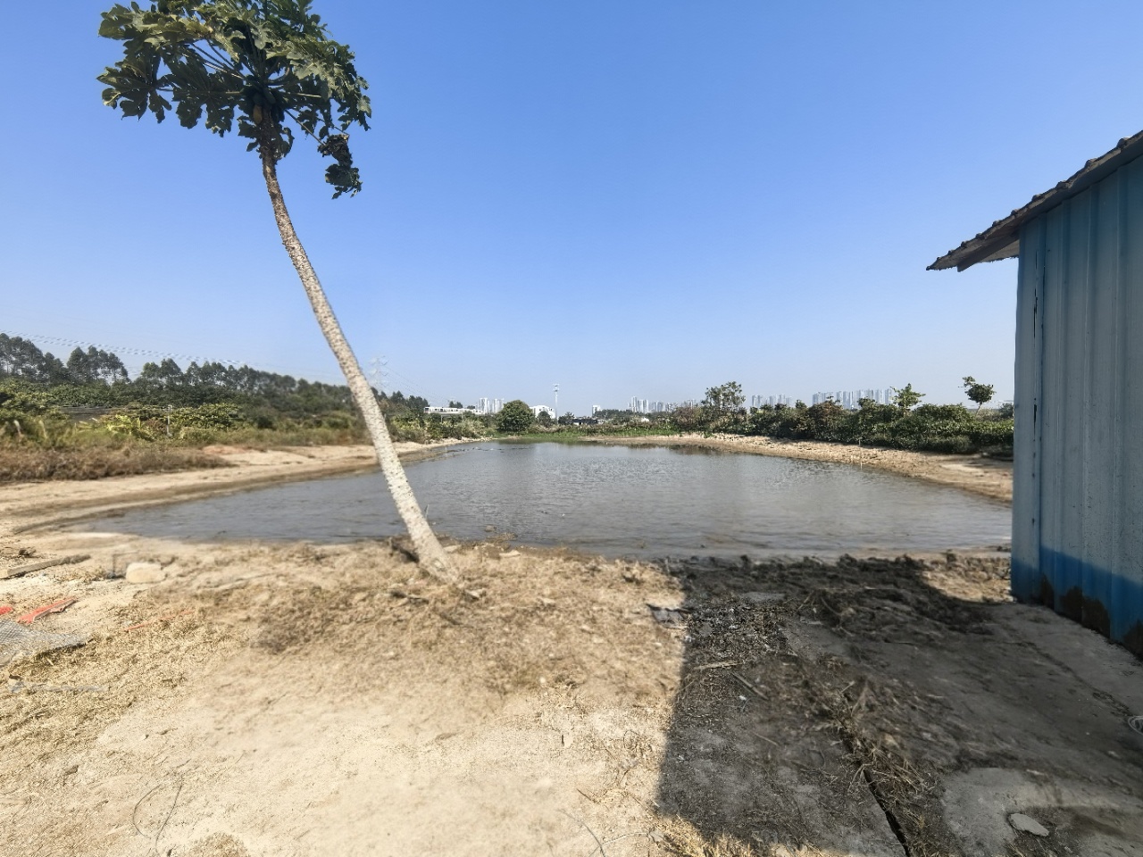 广州番禺渔塘土地出租，价格美丽，交通方便，农庄钓鱼5