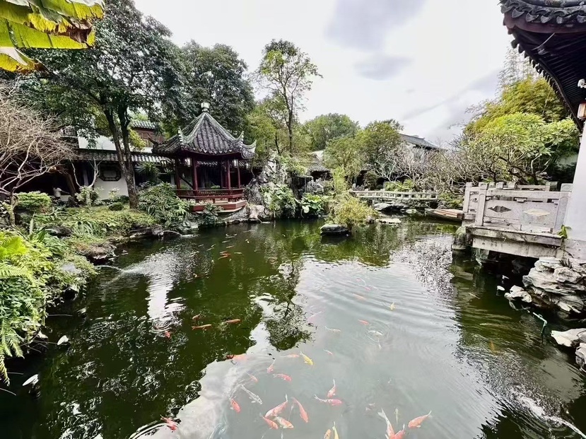 华侨城-四合院出租面积：4500平，有鱼塘有山有水有花园8