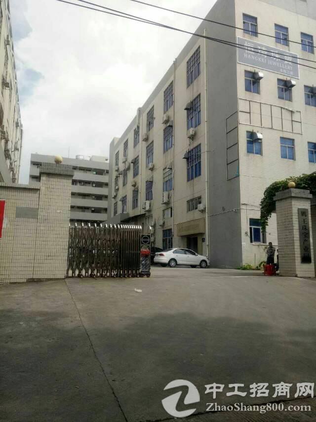 深圳老总电话_深圳中旦集团老总照片(2)