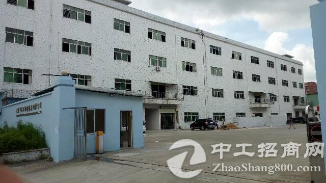 黄江北岸村标准厂房一楼新空出400平方出租非常适合做物流仓库