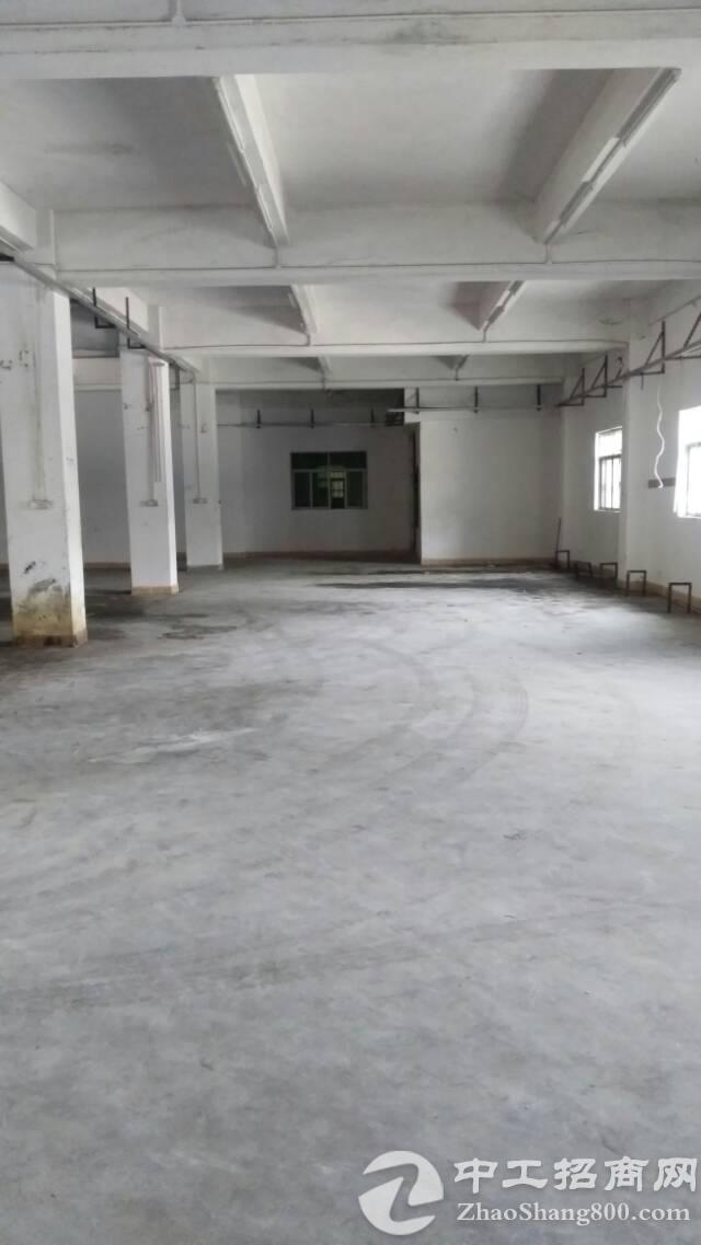 黄江镇合路村一楼320平米厂房出租适合做仓库