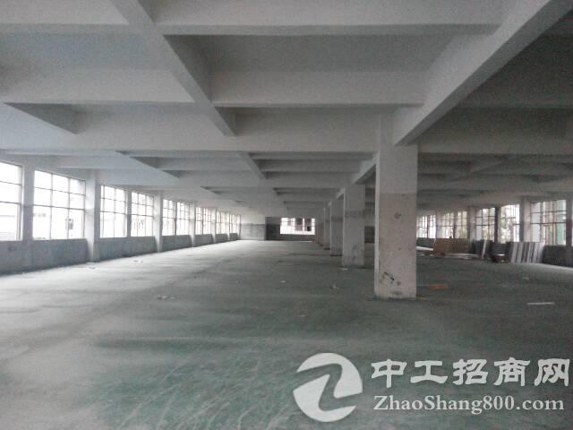 黄江镇靠近刁朗村新空出标准厂房3楼5000平适合做仓库