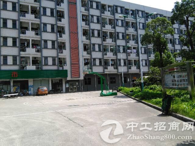 【下早新村是高风险地区吗,深圳市龙华区观澜街道松原厦中心新村81号。有疫情吗】