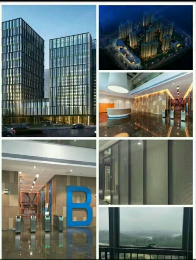 西乡新建纯办公写字楼出租