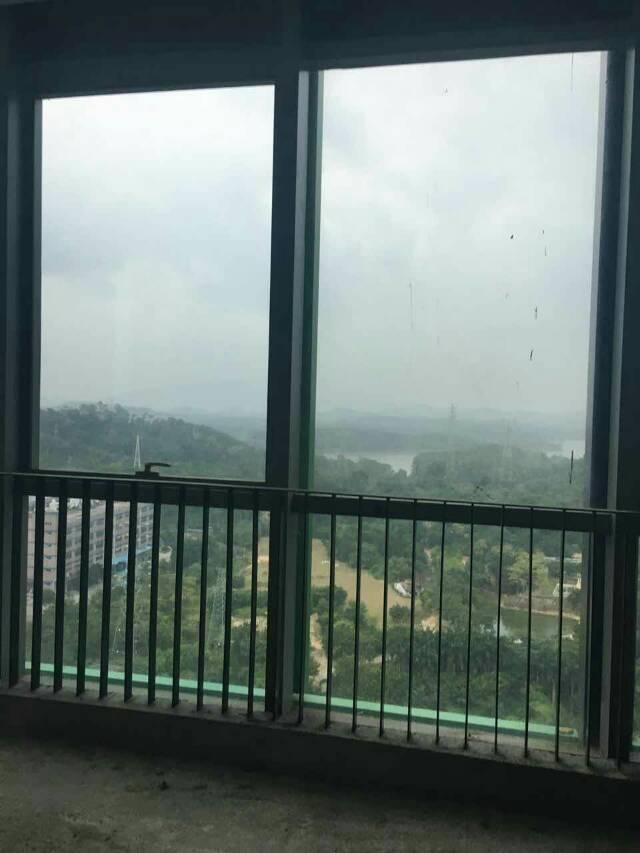 西乡新建纯办公写字楼出租