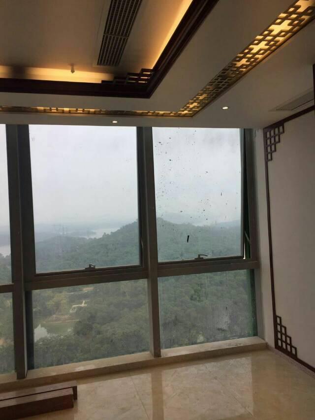 西乡新建纯办公写字楼出租
