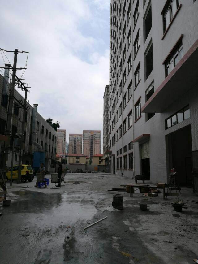 镇中心全新高端制造大厦2000平米出租配有客梯