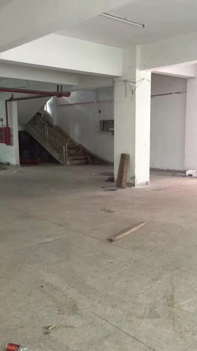 龙华新围1楼600平带办公室装修仓库招租