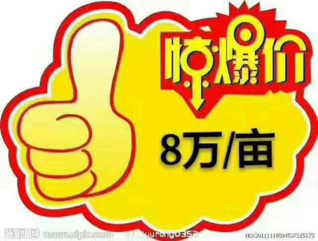 （出售）安徽马鞍山红本工业用地1000亩3