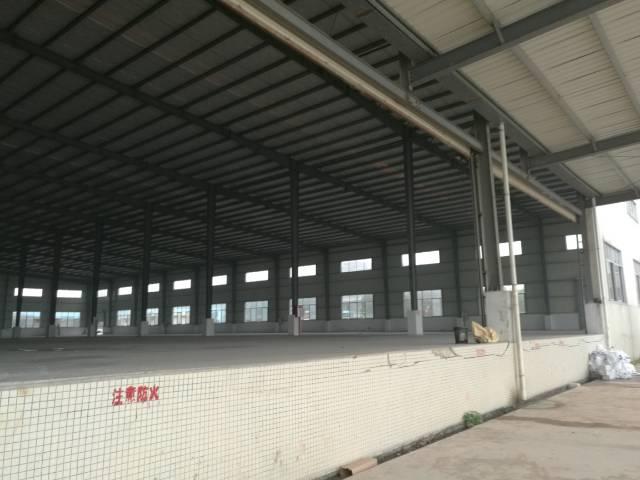 中堂镇新出钢结构高台物流仓库，41000平方，可分租