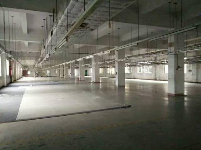 厚街镇靠南城莞太路边新出标准独门独院厂房6000平方,