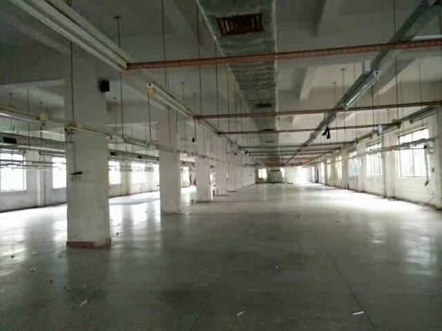 厚街镇靠南城莞太路边新出标准独门独院厂房6000平方,