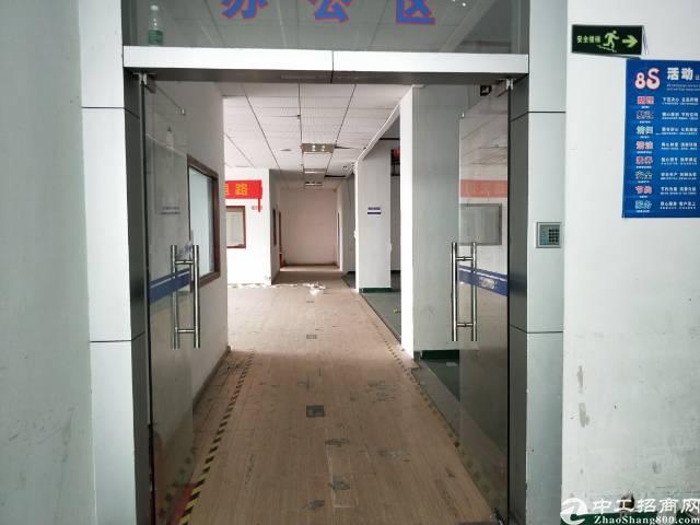 坂田天虹小型电商楼46-488平出租