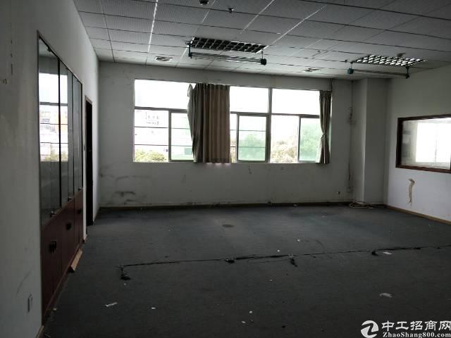 坂田天虹小型电商楼46-488平出租