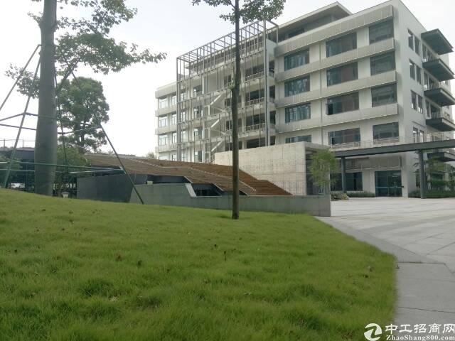 沙井地铁口附近孵化科技园500平米招租
