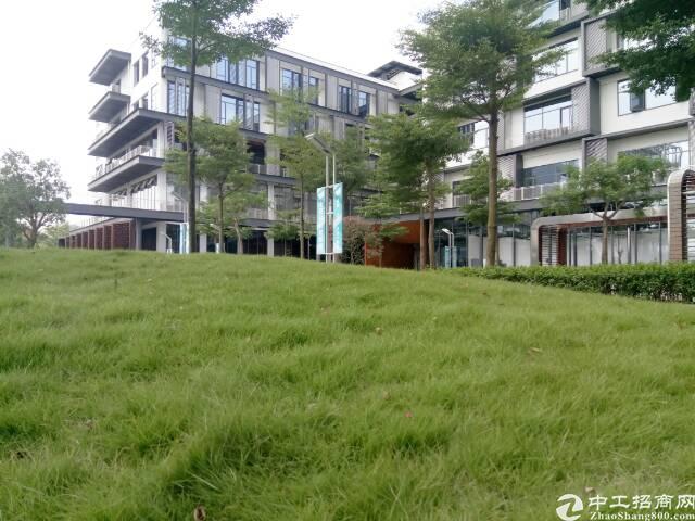 沙井地铁口附近孵化科技园500平米招租