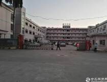 黄江镇中心6米高标准一楼1500平米出租