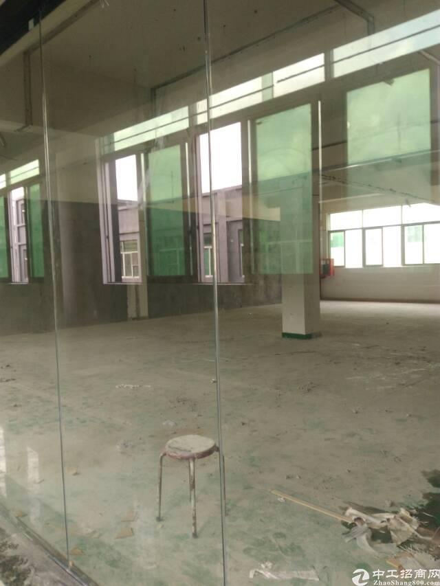 坂田精装写字楼出租