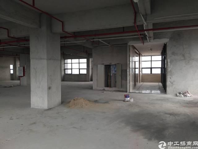 厚街新出商业楼招租780方/层