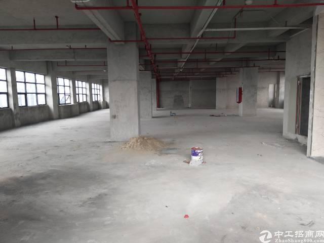 厚街新出商业楼招租780方/层