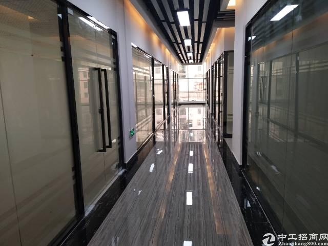 厚街新出商业楼招租500一2000方