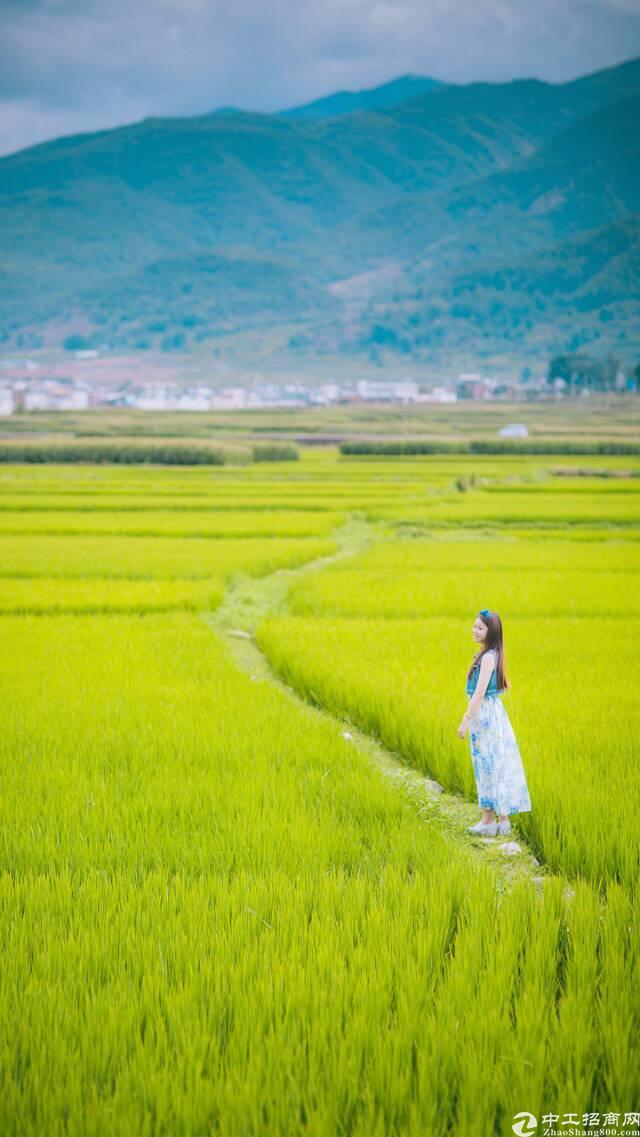 20万起！佛山高明国有土地4