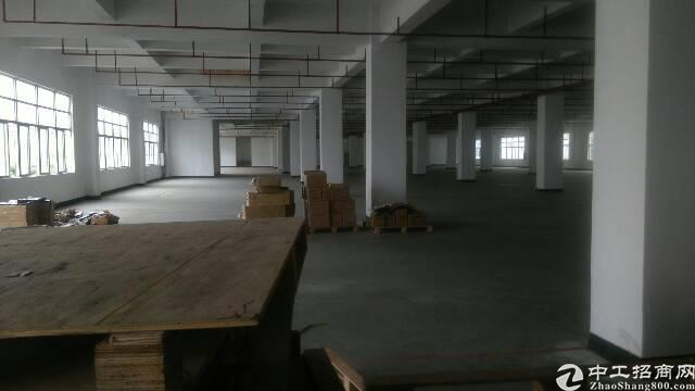 圳美光侨路旁边大型工业园标准厂房可短租做仓库有卸货平台