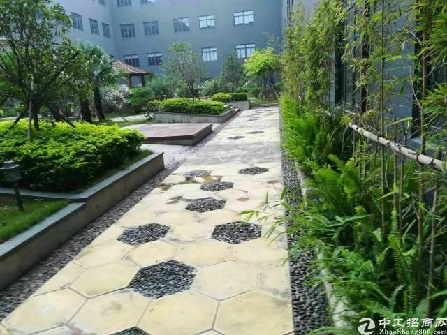豪华办公室招租