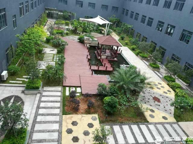 豪华办公室招租
