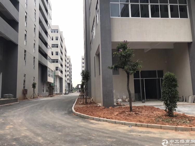 红本工业用地出售1