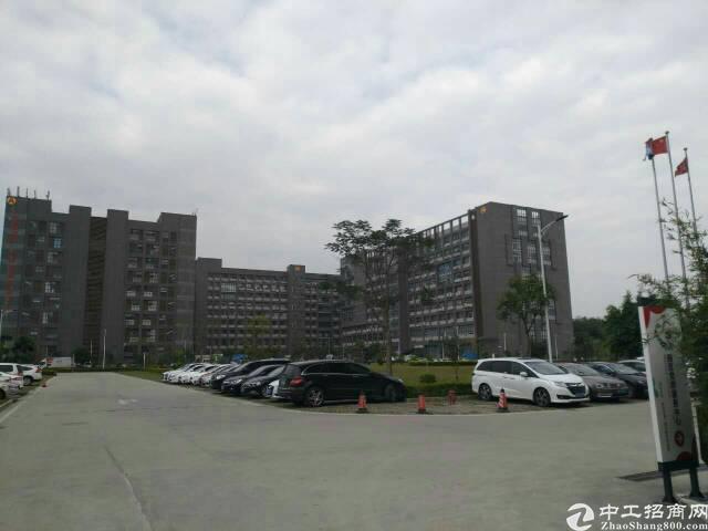平湖华南城精装写字楼80~1000平方米招租