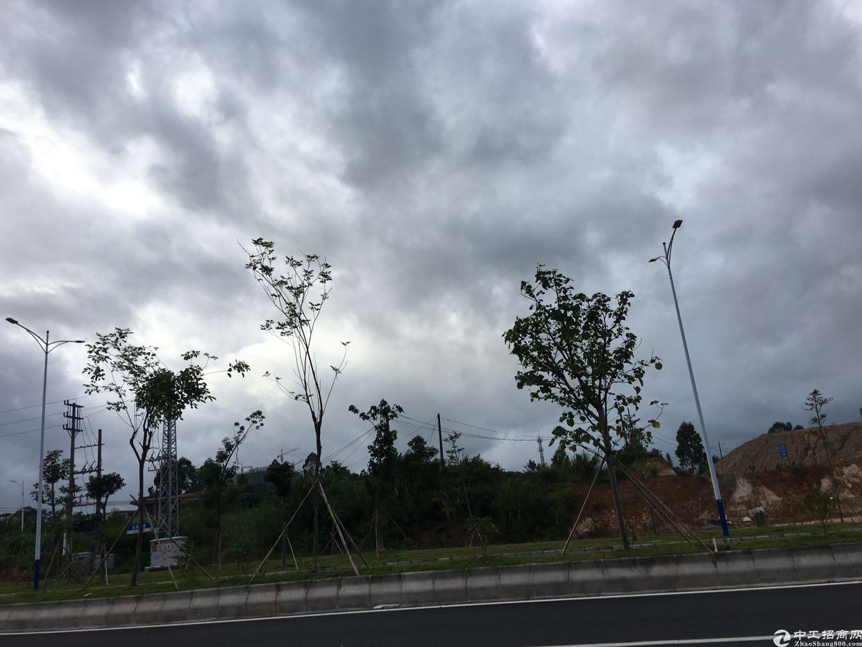 惠州大亚湾土地出售3