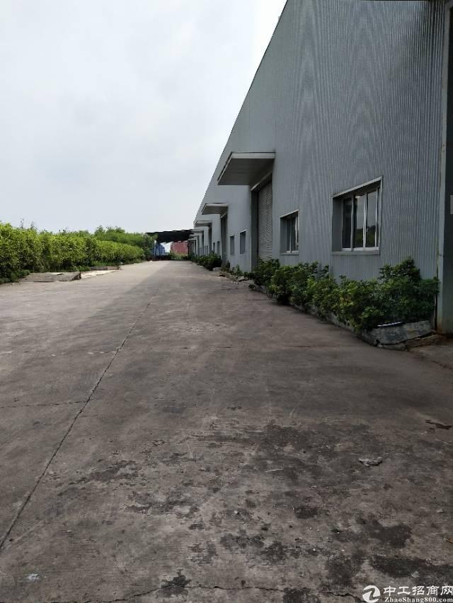 广州南沙区41000平物流园仓库及厂房出租单层钢构