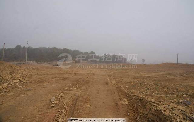安徽省滁州市来安县200亩国有指标地出售1