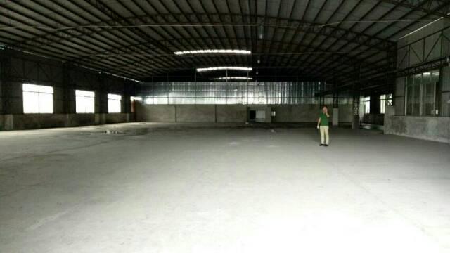 中堂镇单一层钢结构厂房，4000平方，高度9米，可做仓库