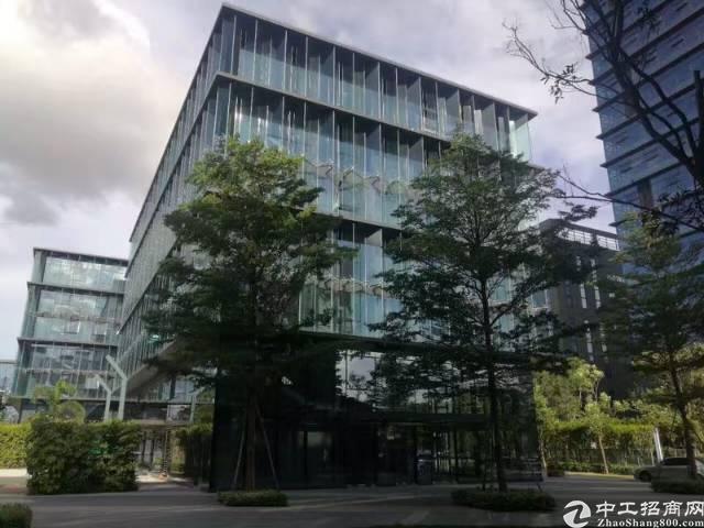 龙岗宝龙高薪低商务办公园区1600平