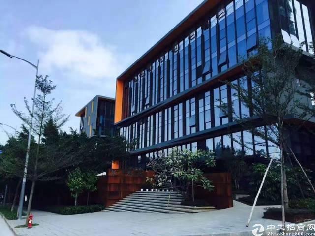 龙岗宝龙高薪低商务办公园区1600平