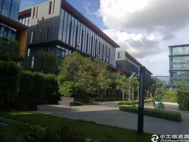 龙岗宝龙高薪低商务办公园区1600平