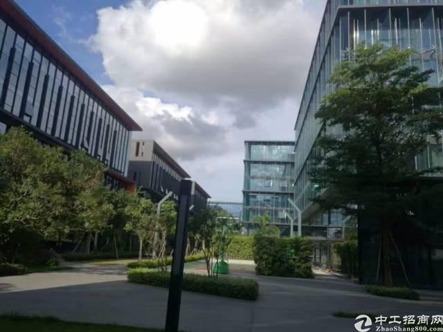 龙岗宝龙高薪低商务办公园区1600平