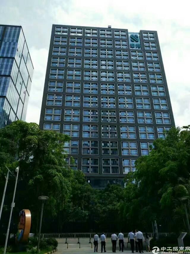 松岗车站附近新出写字楼300平方米带豪华装修